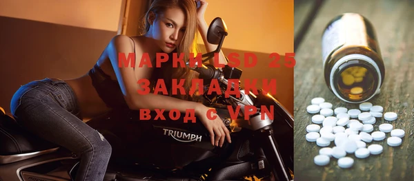 apvp Алагир