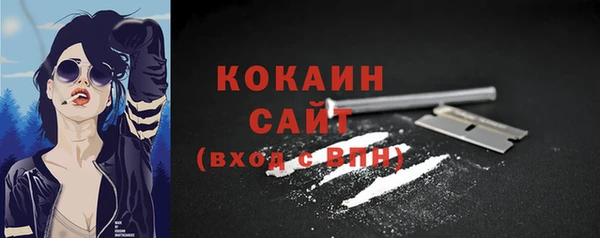 гидра Наволоки