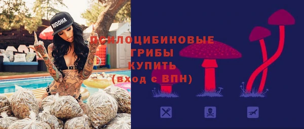 гидра Михайлов