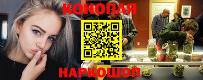 прущие грибы Апшеронск