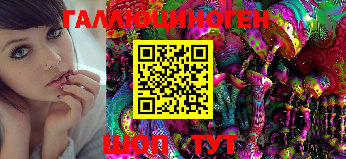 Галлюциногенные грибы Psilocybine cubensis  Галлюциногенные грибы мицелий  хочу   Родники 